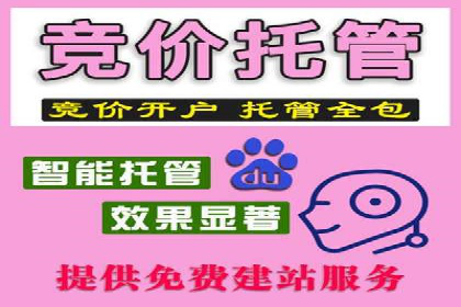 谷歌竞价广告的关键词选择与优化案例