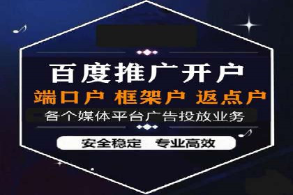 SEM搜索引擎优化策略解析与应用案例